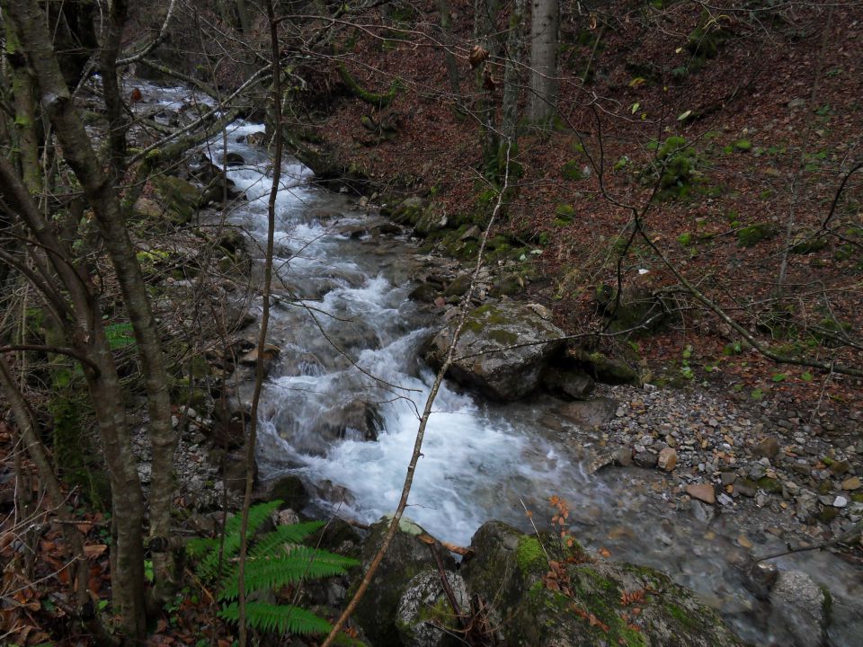 18. 11. 2013 - foto povečava