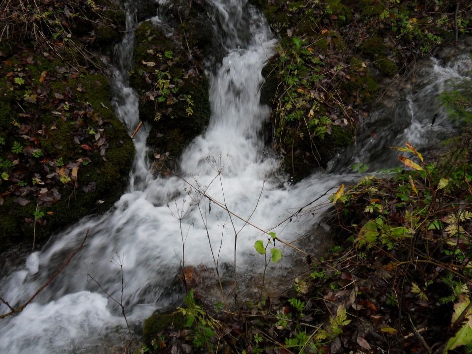 18. 11. 2013 - foto povečava