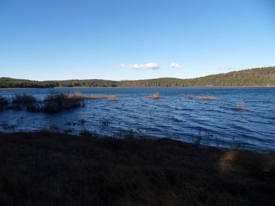 25. 11. 2013 - foto povečava