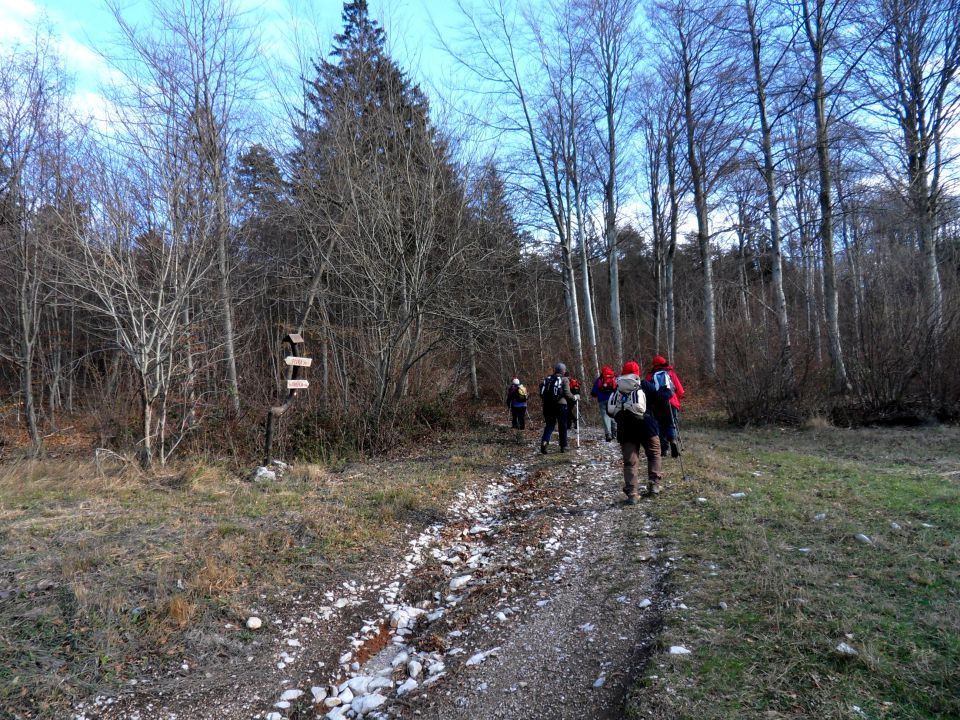 25. 11. 2013 - foto povečava