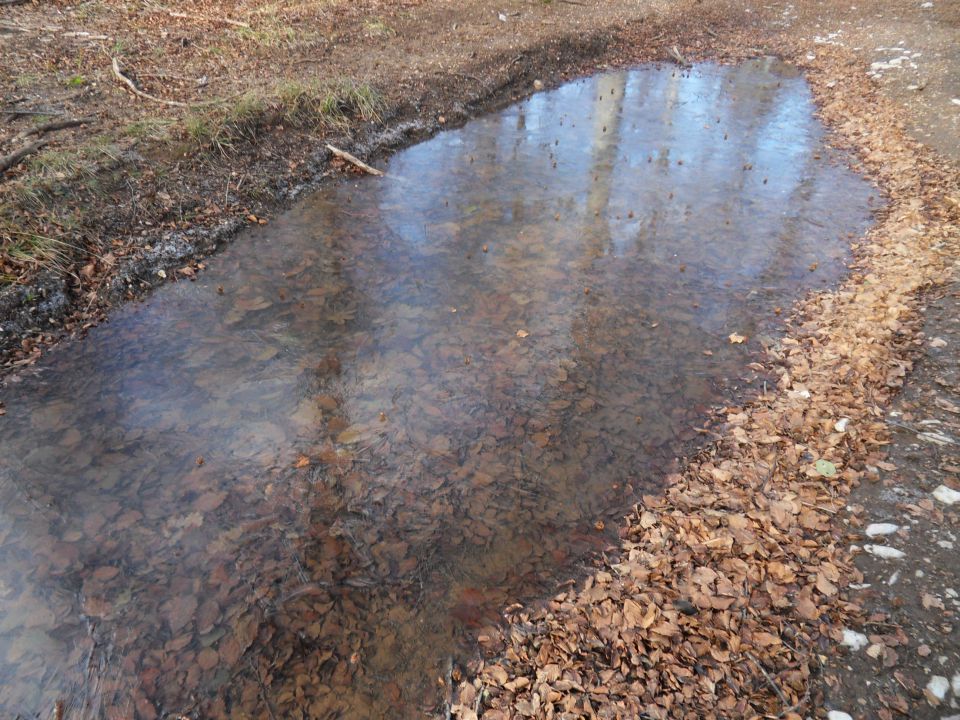 25. 11. 2013 - foto povečava