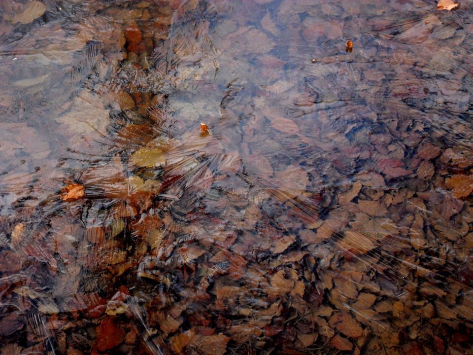 25. 11. 2013 - foto povečava