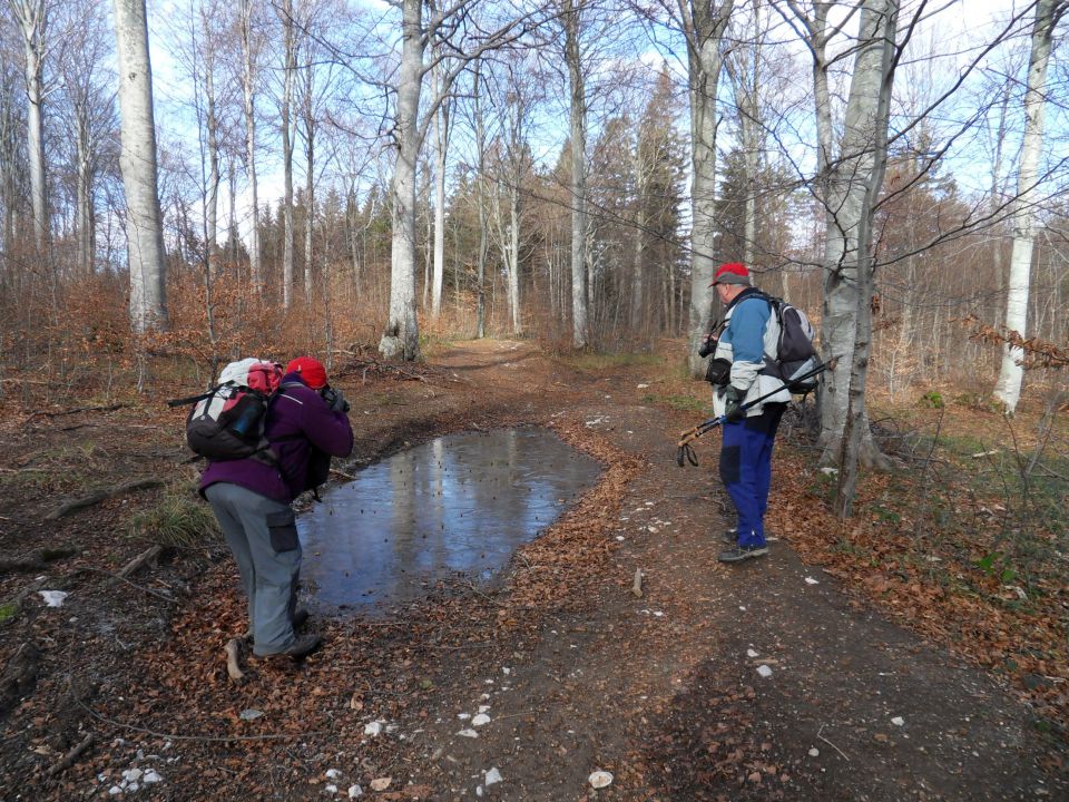 25. 11. 2013 - foto povečava