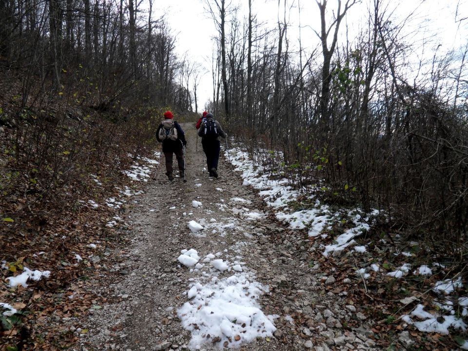 25. 11. 2013 - foto povečava