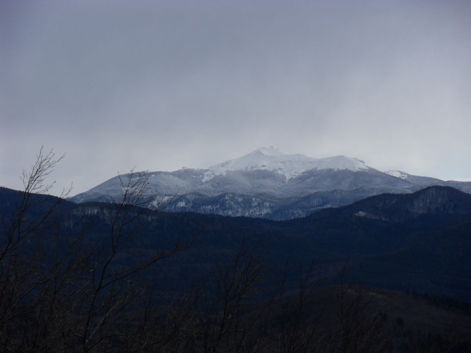 25. 11. 2013 - foto povečava