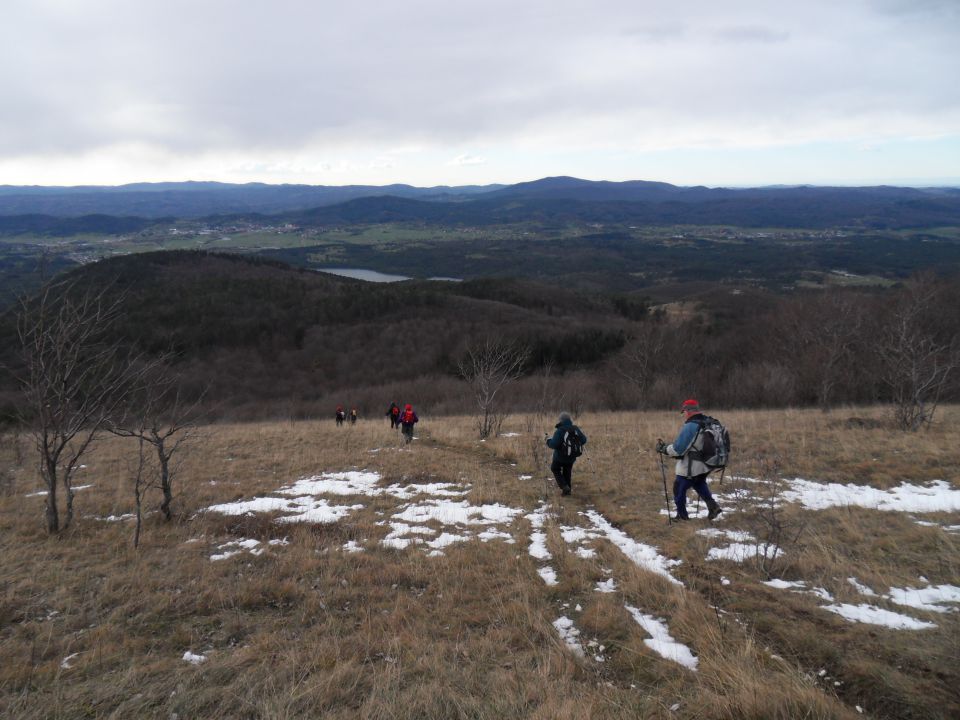 25. 11. 2013 - foto povečava