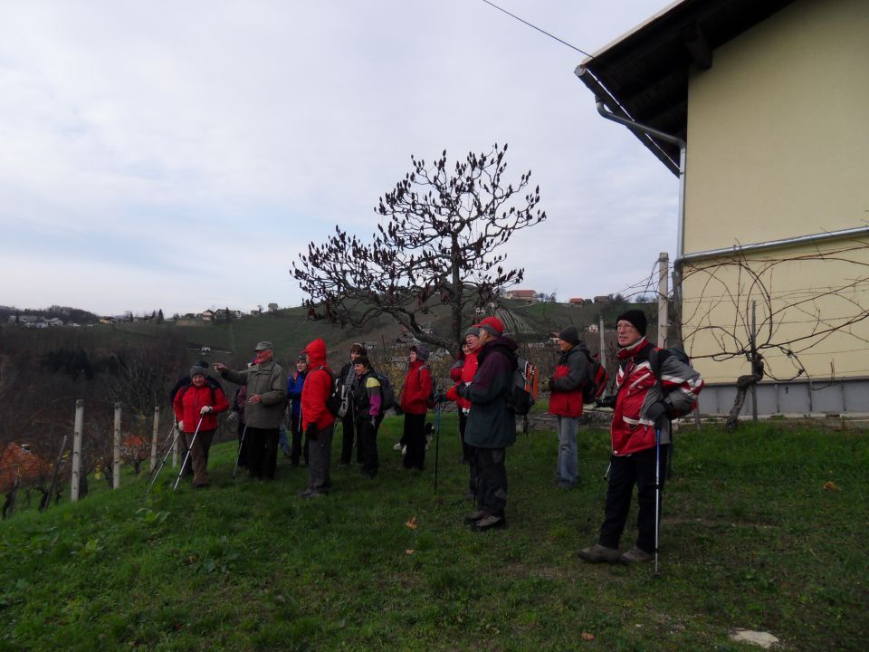 27. 11. 2013 - foto povečava