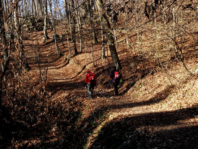 1. 12. 2013 - foto