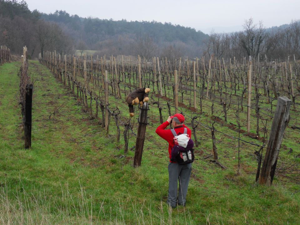 8. 1. 2014 - foto povečava