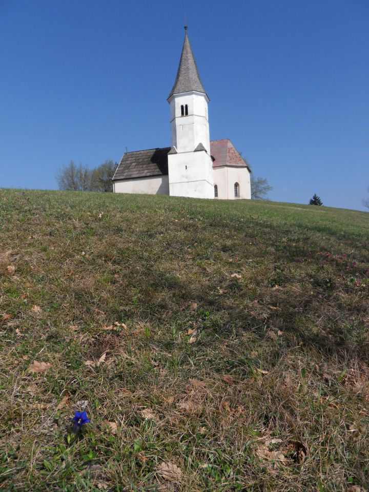 7. 4. 2014 - foto povečava