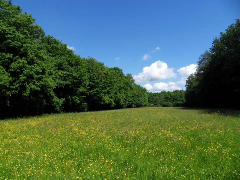 10. 5. 2014 - foto povečava