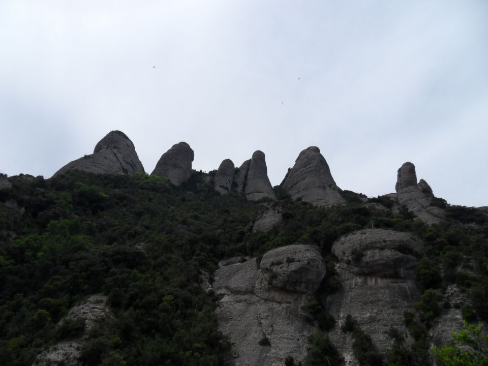 18. 5. 2014 - foto povečava