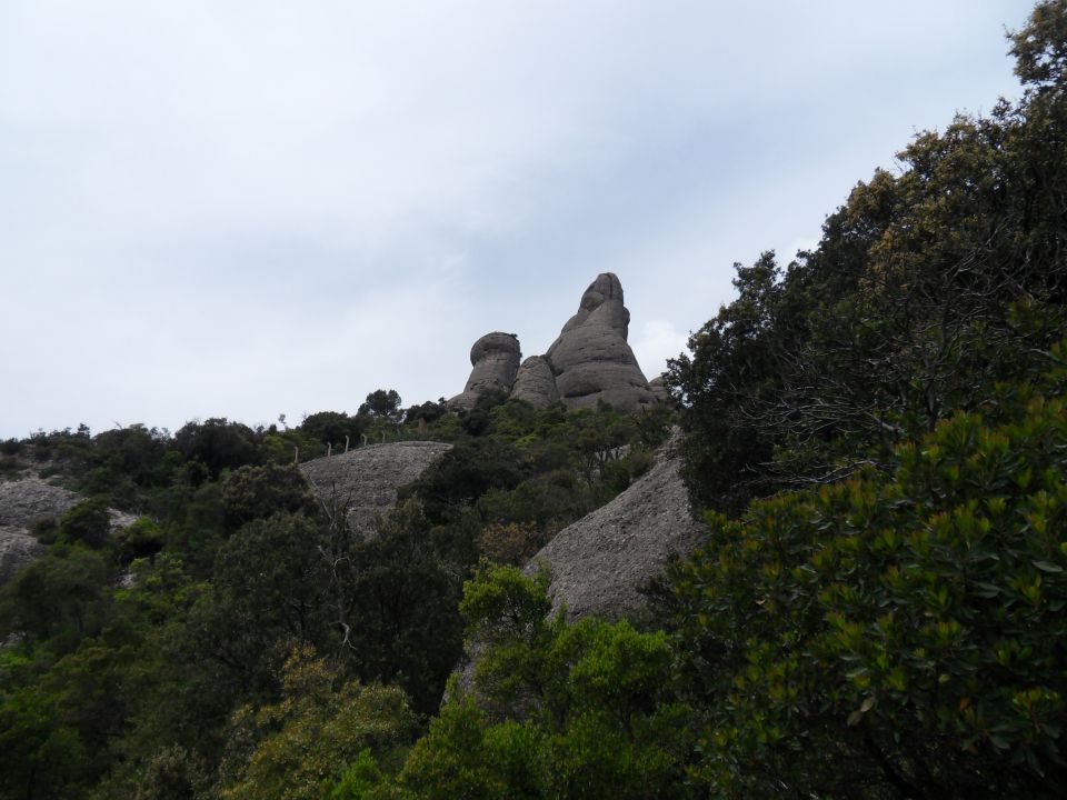 18. 5. 2014 - foto povečava