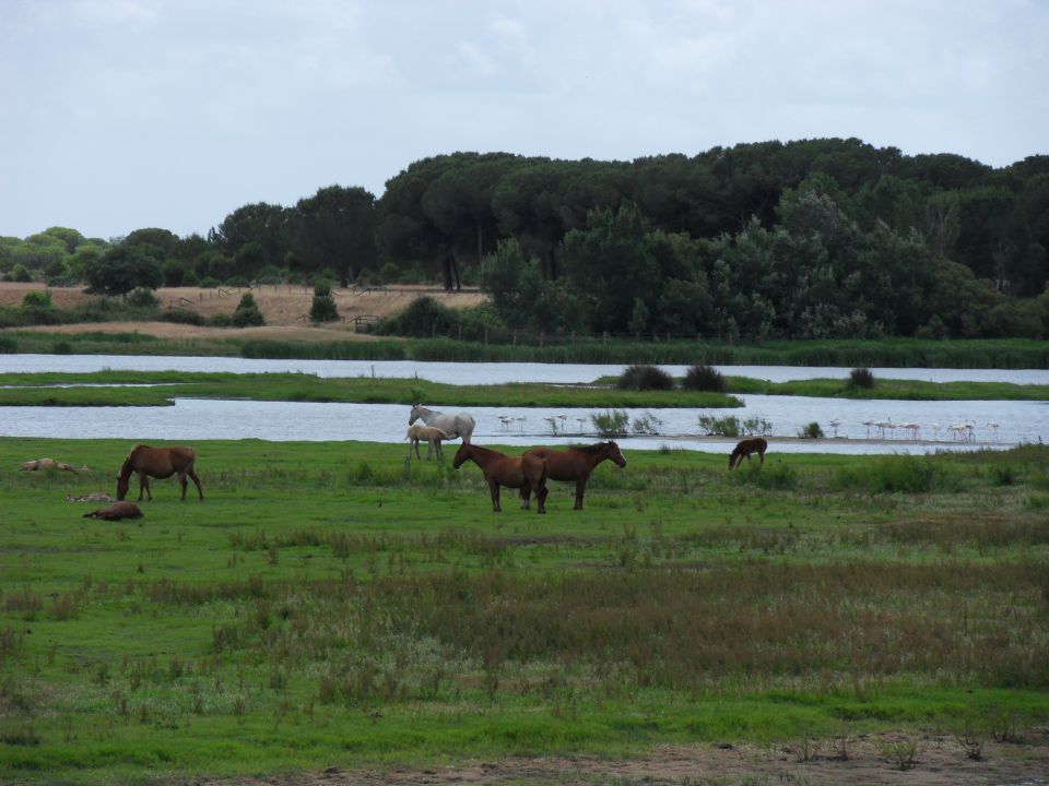 21. 5. 2014 - foto povečava