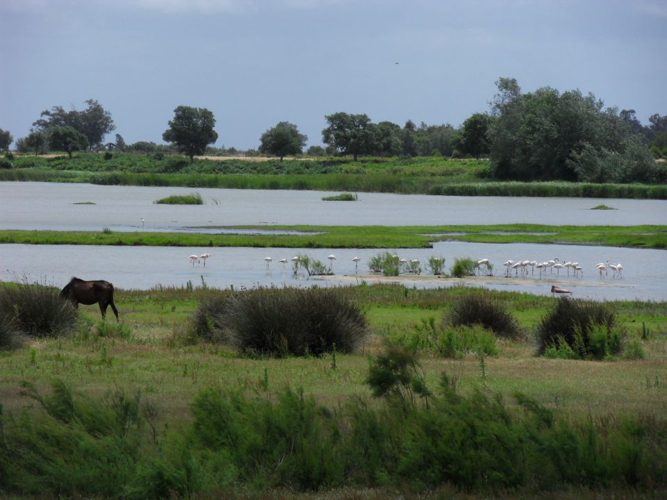 21. 5. 2014 - foto povečava