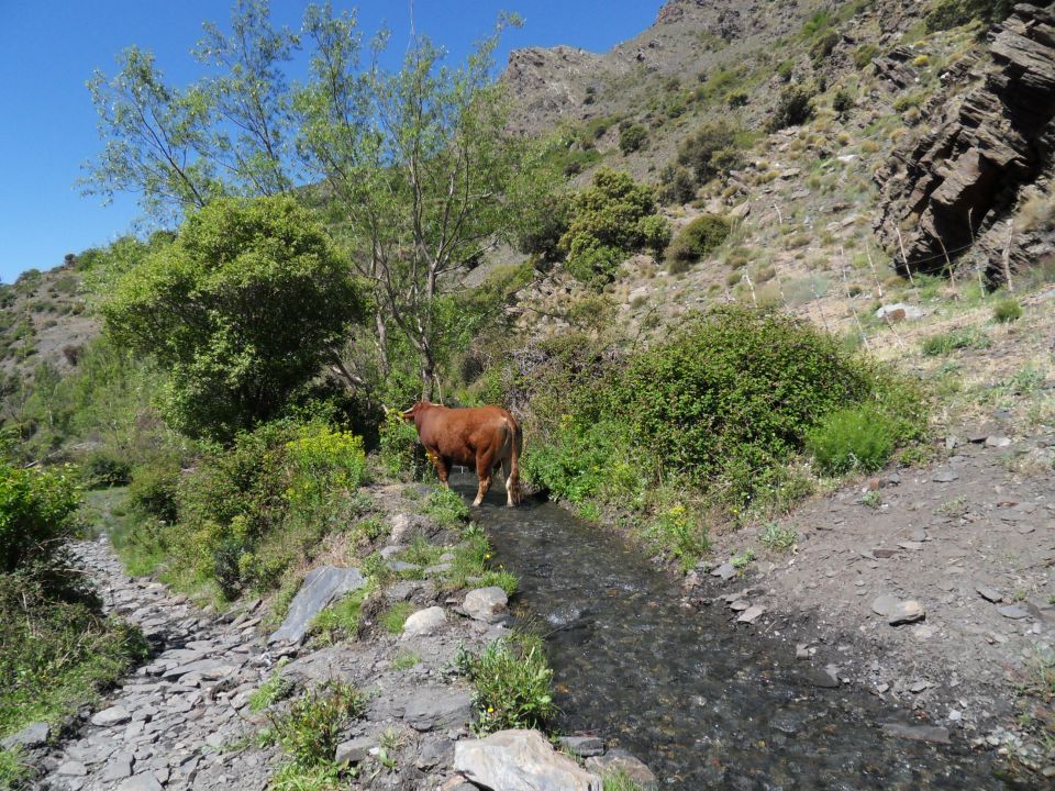 27. 5. 2014 - foto povečava