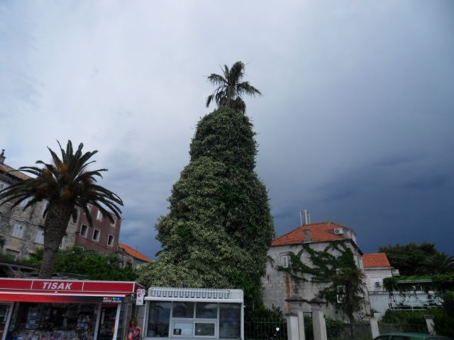 13. - 15. 6. 2014 - foto