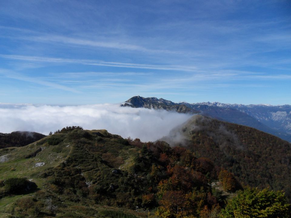 29. 9. 2014 - foto povečava