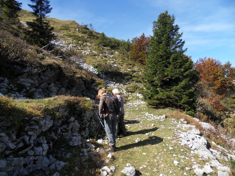 29. 9. 2014 - foto povečava