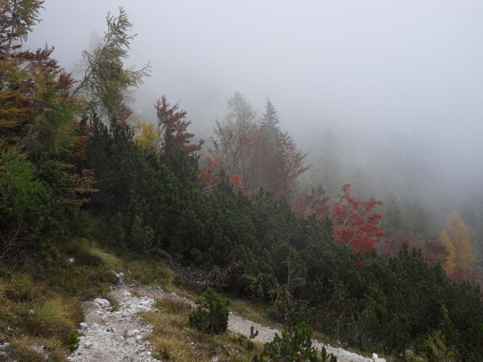 6. 10. 2014 - foto povečava