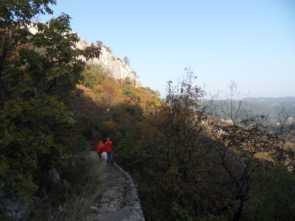 12. 10. 2014 - foto povečava