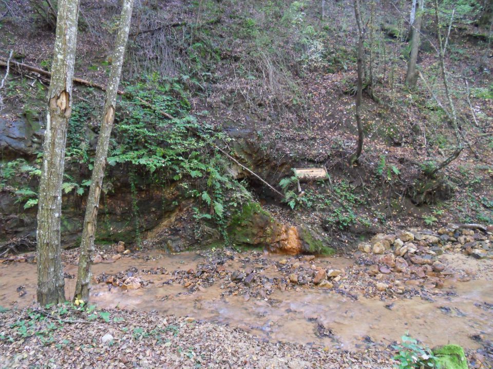 13. 10. 2014 - foto povečava