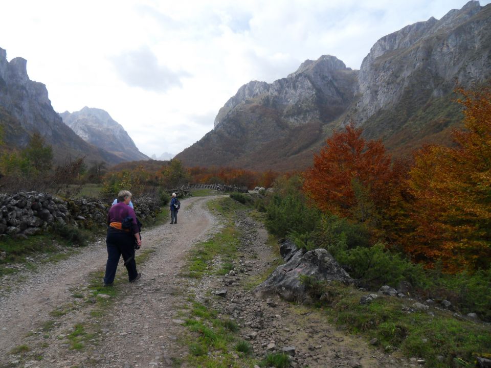 15. 10. 2014 - foto povečava