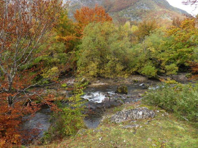 15. 10. 2014 - foto