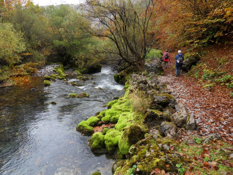 15. 10. 2014 - foto povečava