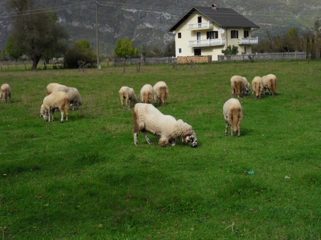 15. 10. 2014 - foto