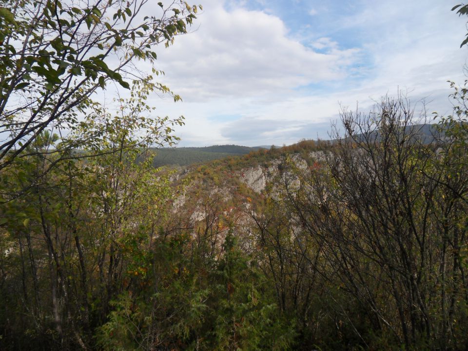 17. 10. 2014 - foto povečava