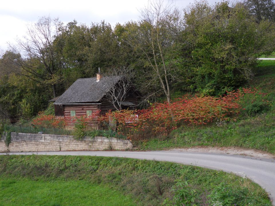 27. 10. 2014 - foto povečava