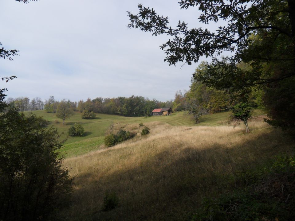 29. 10. 2014 - foto povečava