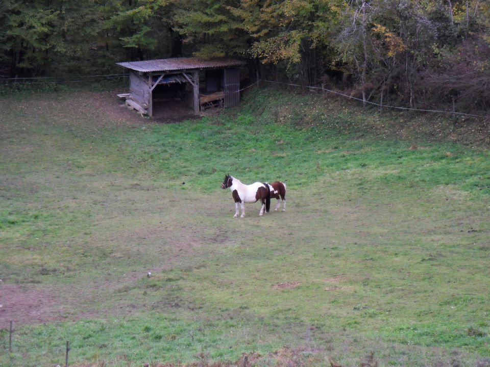 5. 11. 2014 - foto povečava