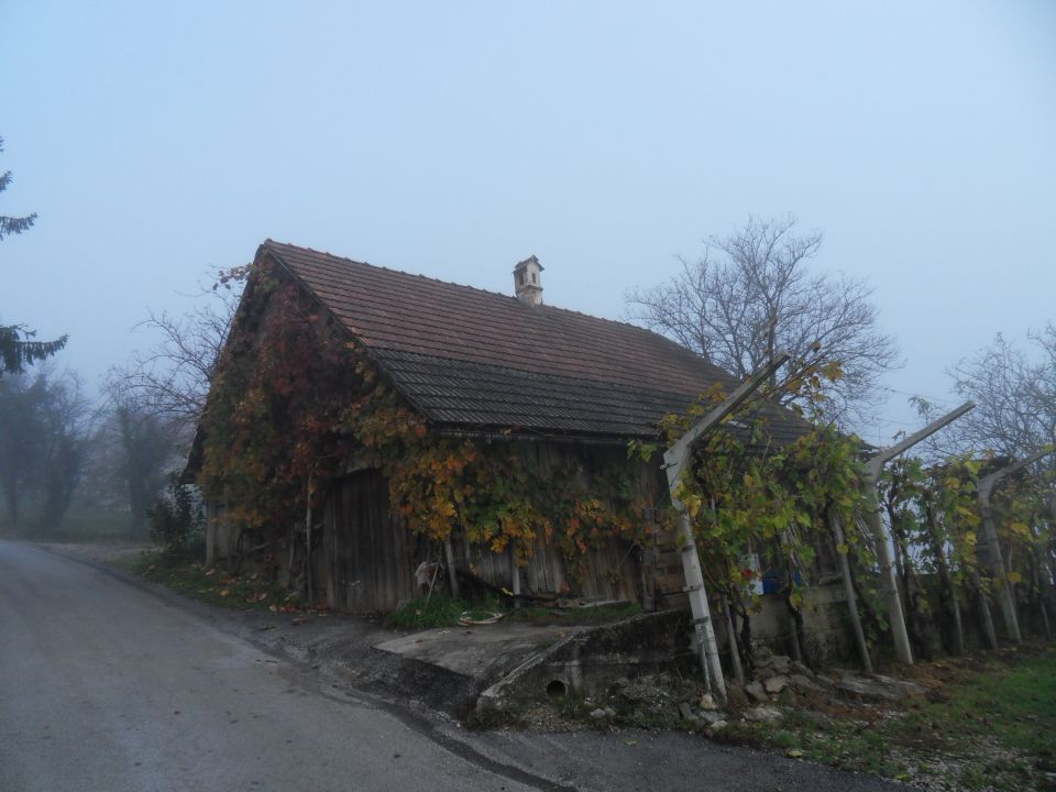 10. 11. 2014 - foto povečava