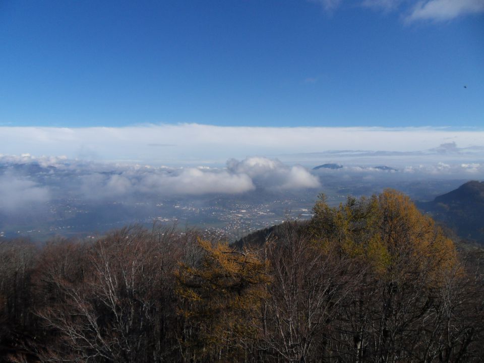 17. 11. 2014 - foto povečava