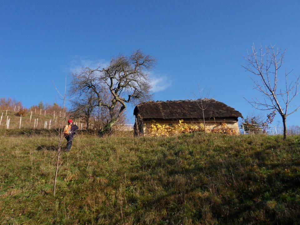 19. 11. 2014 - foto povečava