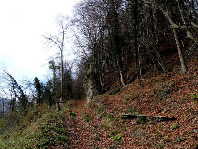 22. 11. 2014 - foto