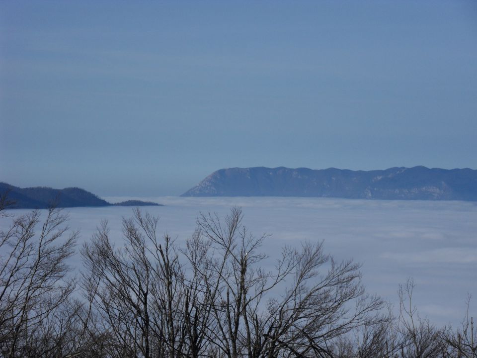 24. 11. 2014 - foto povečava