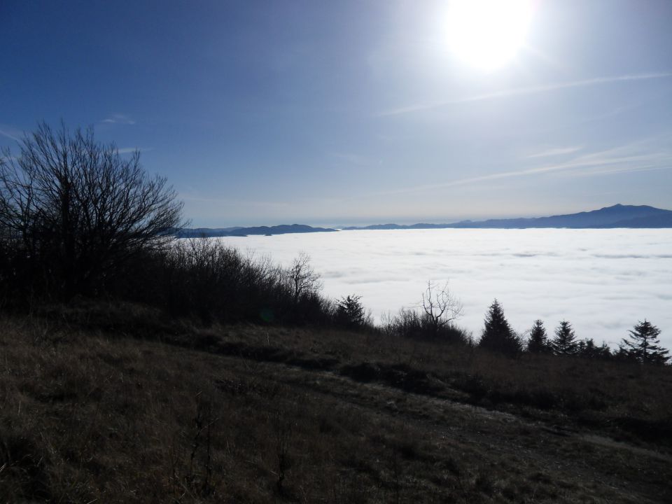 24. 11. 2014 - foto povečava