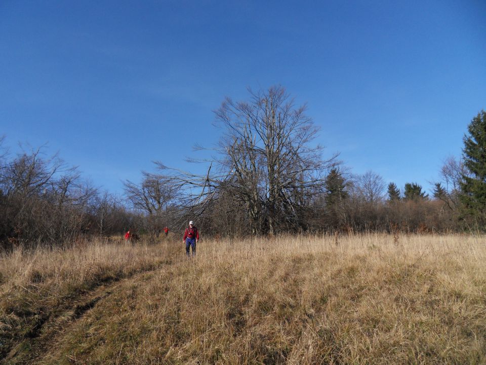 24. 11. 2014 - foto povečava