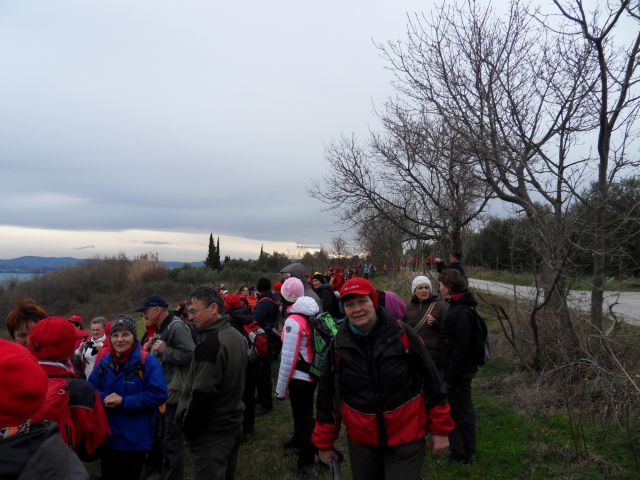 24. 1. 2015 - foto
