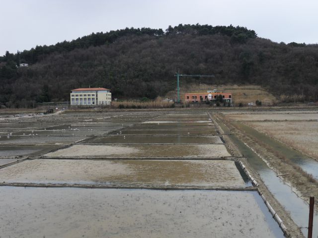 24. 1. 2015 - foto