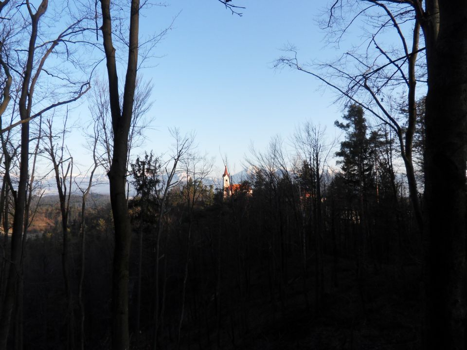 26. 1. 2015 - foto povečava