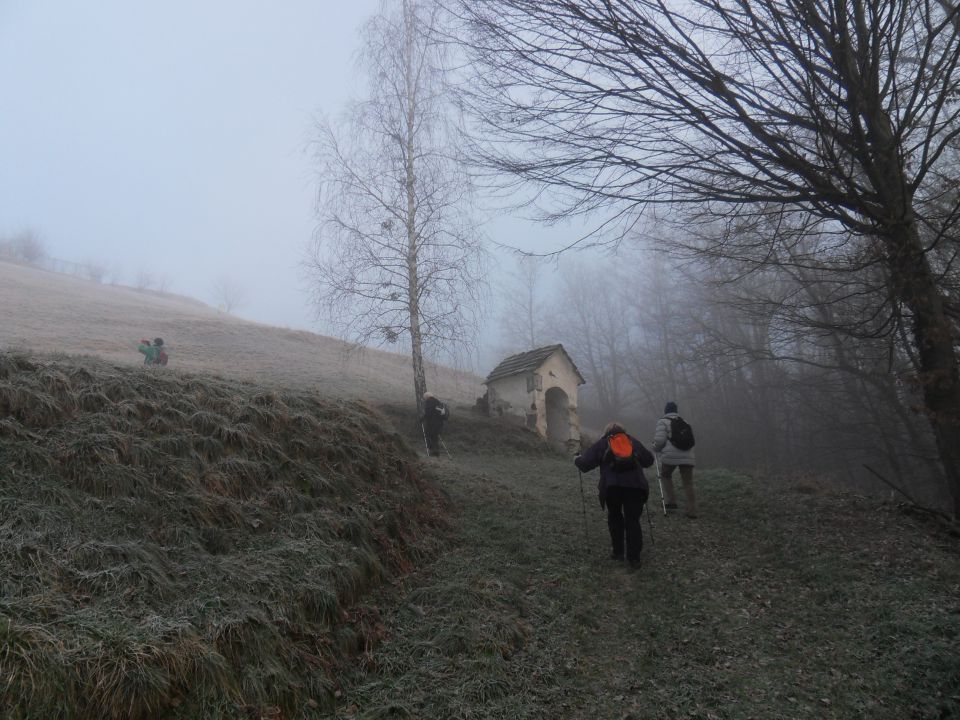 28. 1. 2015 - foto povečava