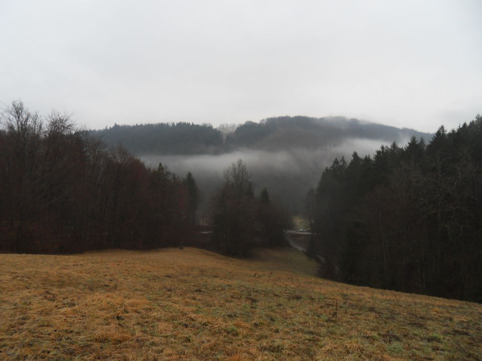 23. 2. 2015 - foto povečava