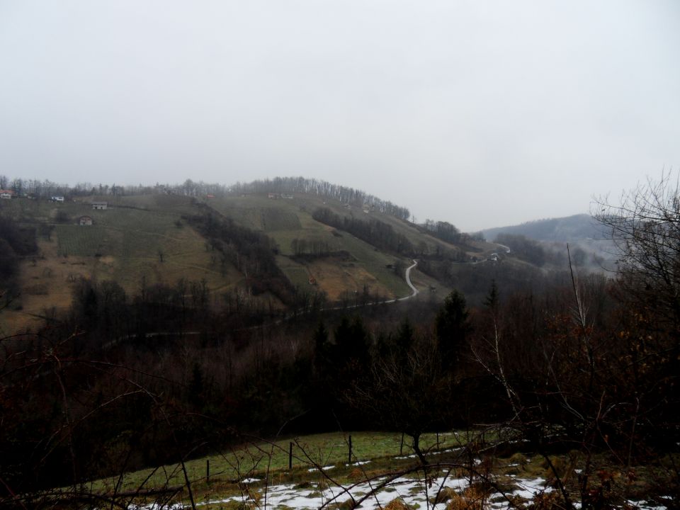 23. 2. 2015 - foto povečava