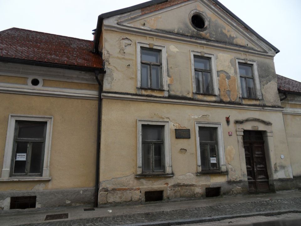 24. 2. 2015 - foto povečava