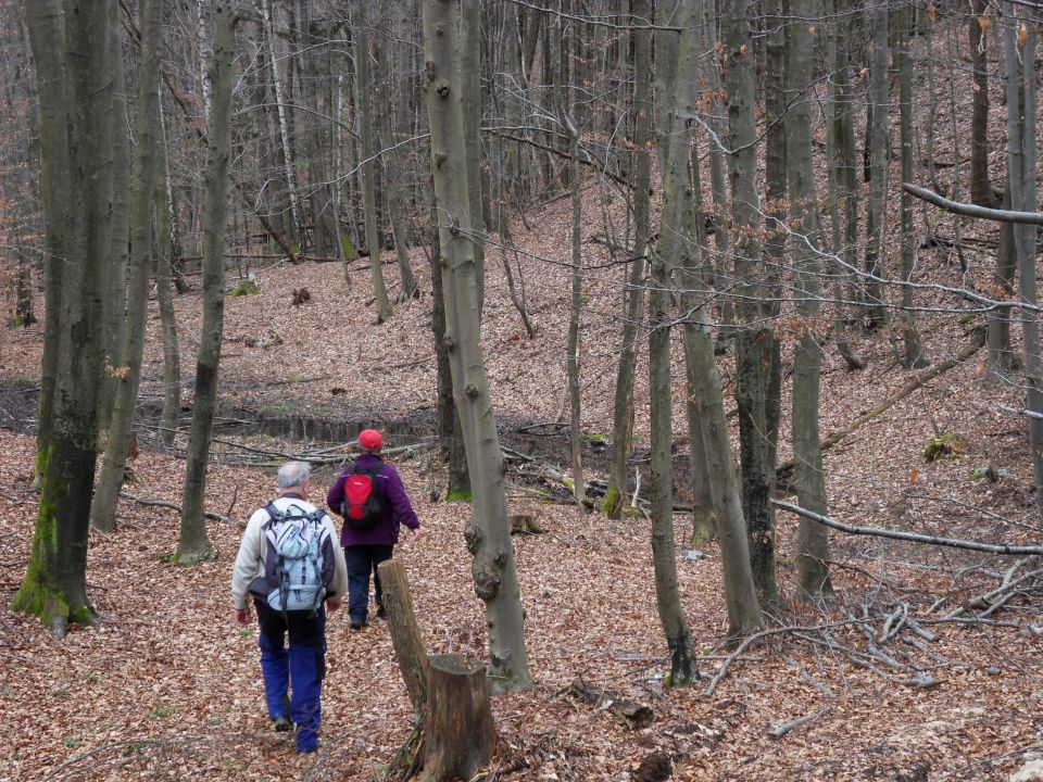 2. 3. 2015 - foto povečava