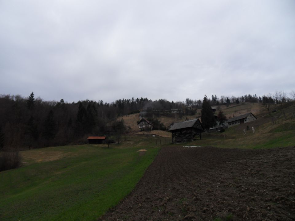 4. 3. 2015 - foto povečava